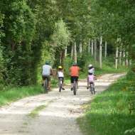 Mountain bike circuit through the marshes