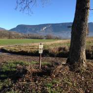 Entre Forêts et Collines