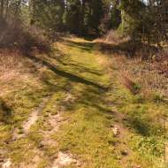 Piste bleue VTC - La Cavale - au départ de La Féclaz
