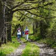Le Vallon Saint-Jean - 9 km