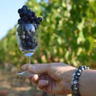 Circuit VTT - Le village de Philippe Valette - 11 km