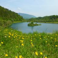Savoyard discovery walk: Les Iles du Chéran