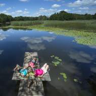 Hike to the Albens Marshlands