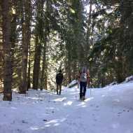 Itinerary for snowshoeing : Plan Bois