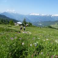 Grand Tour de Tarentaise - Hiking 27 days