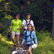 Hiking trail : the Falconnière