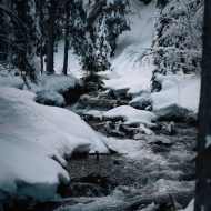 L - Le Ruisseau des Gravelles (hiver)