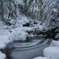 Boucle du Pont des Nants - sentier raquettes