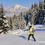 Snowhoes  itinerary  :  les chalets d'Autigny