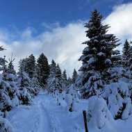 Sentier raquettes : la boucle des Combes