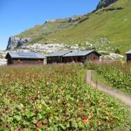 2-day hike to the Sales refuge - Stage 1