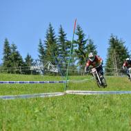 Downhill mountain bike trails