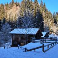 Boucle des Granges - sentier raquettes