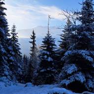 Boucle des Montavus depuis Cordon - sentier raquettes