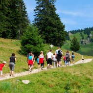 Walking route - Boucle du Mouet from Châtel
