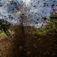 MTB trail the Eterlou