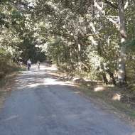 Bike ride in the woods of Moladier