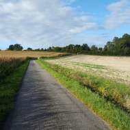 Bike ride of the Ray stud farm