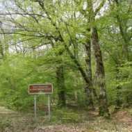 "Bike ride in the forest of Bagnolet