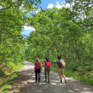 PR 2 : Parcours de la forêt de Bagnolet