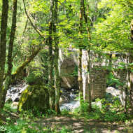 Gorges de Sarenne - Loop hike from Auris en Oisans resort
