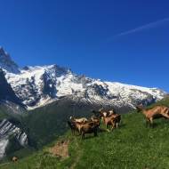 Sentier Paul-Louis Rousset