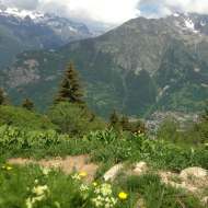Randonnée été : Voyage au bout de l'alpage