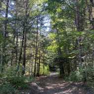 Forest variant of the 3 bridges loop via Les Essoulieux and Bassey - Hiking from Le Bourg-d'Oisans