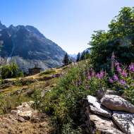 Travers des lacs par l'Alpe du Pin