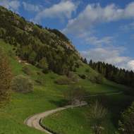 Rando trail - n°5 Blue - The rise of Alpe