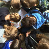Auris - Parcours d'orientation patrimoine ENFANT - Station d'Auris