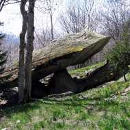 Le Dolmen et le Bois Dessus