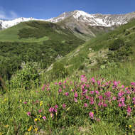 Le Clos de l'Âne - Itinéraire de randonnée pédestre