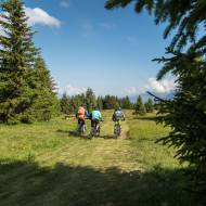 La Familiale (20) - Piste de descente VTT