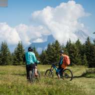 La Sapinière (22) - Piste de descente VTT