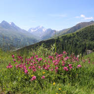 Boucle Pémian par le Serroz et les Solèdes - Itinéraire de trail