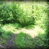 Lescheraines mountain bike loop - Prérouge Cave and Pont du Diable (bridge)