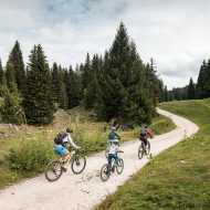 Piste VTT FFC verte 1 - La Féclaz
