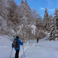 Snowshoeing treks : Le creux de Lachat