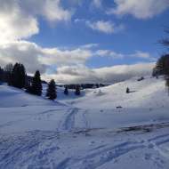 Randonnées raquettes : La Piste du Trappeur