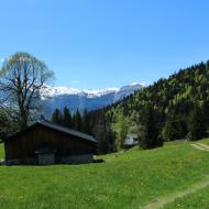 Les Molliets to Haute Combe and Sarbotte