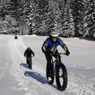 The fir tree loop