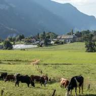 Les Hauts de Vimines