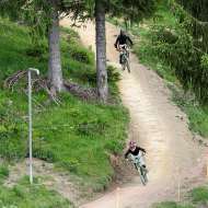 L'Arpette (DH)