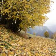 Sentier géologique - balade 4 saisons autour de Villard-Reculas