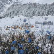 Snowshoeing itinerary - Snowshoeing itinerary - " Chemin de 1450" (4)