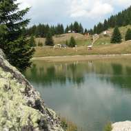 From the Preney to the "Grande Léchère" lake refuge (7)