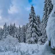 Schneeschuhpfad: die Golfschleife