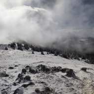 Schneeschuhpfad: von La Catheline bis Crêt de la Neige
