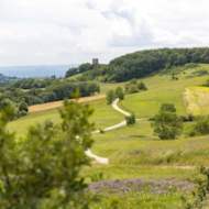 The panoramic ridge